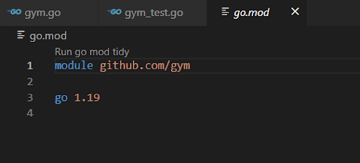 Click on the go.mod File